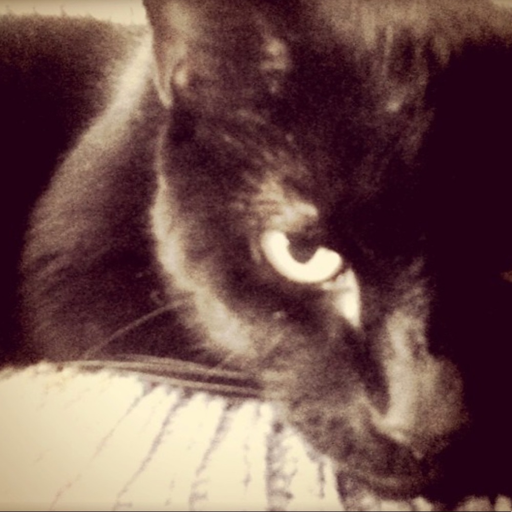 Meet your Posher, Anthony